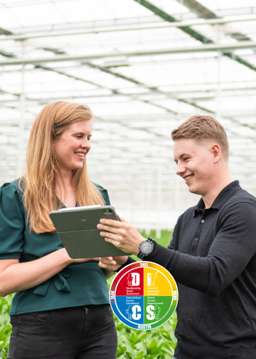 DISC en drijfverenanalyse