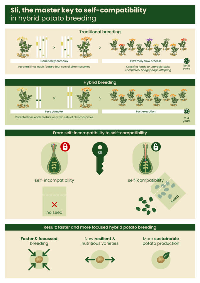 Bc6a8684 4973 471c ae73 93daa3286439 Infographic Sli gene UK screen